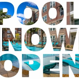 If you need me, I’ll be by the pool😎⛱️ 
The pool is officially open daily from 10am-10pm☀️, for any questions about pool rules, please contact the leasing office!
#summertime#summer#poolvibes#poolday#summertimefun#fri scotx#friscoapartments Instagram post from @newmanvillagefrisco on May 29, 2024 10:30:00am